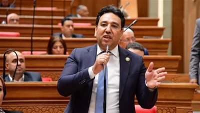 ماذا بعد صندوق النقد؟.. نائب يكشف ملامح البرنامج الاقتصادي الجديد