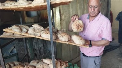 ضبط 4.6 طن ملح مغشوش ونصف طن دقيق مدعم بالإسماعيلية