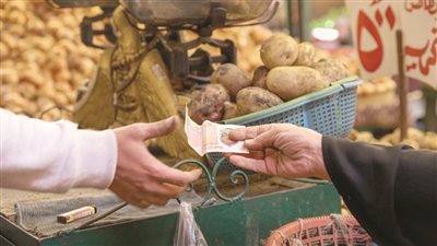 مصر ما بعد صندوق النقد