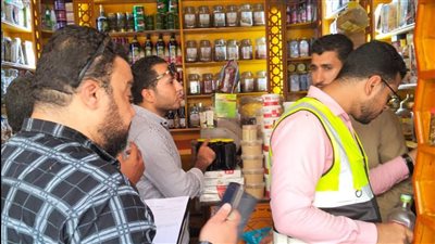 تحرير 11 محضرًا متنوعًا لضبط المخالفات فى حملة بنجع حمادى 