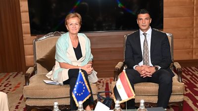 وزير الصناعة يبحث مع رئيسة بعثة الاتحاد الأوروبي لدى مصر تعزيز التعاون 