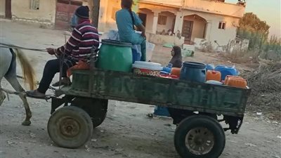 صرخة أهالي عزبة 241 بكفر الدوار: 3 سنوات من العطش.. والأهالي يحملون الجراكن بحثًا عن قطرة مياه