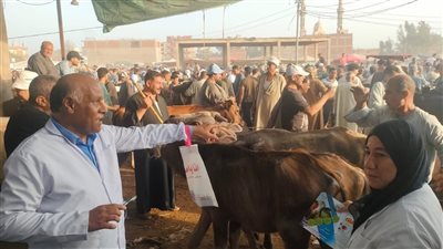 175 لجنة بيطرية تجوب القرى والأسواق لحماية الثورة الحيوانية بالغربية