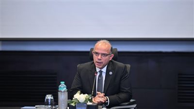 وزير الاستثمار: شراكة عملية بين المصدرين المصريين وموانئ دبي لدعم توسع الصادرات المصرية