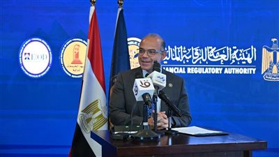 الاستثمار: إطلاق برنامج بناء جاهزية الشركات الحكومية للطرح بالبورصة المصرية
