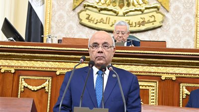 الفيومي: قانون تراخيص المحال العامة ليس وسيلة لتحصيل الرسوم من المواطنين