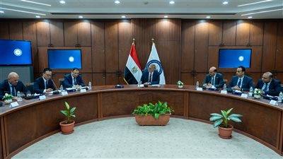 مصر والصين تسرعان تنفيذ مشروعين استراتيجيين للبتروكيماويات لتعزيز الإنتاج المحلي