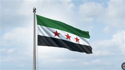 لهذا السبب.. وفد من الوكالة الدولية للطاقة الذرية يزور سوريا