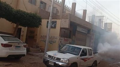 لمواجهة الناموس والحشرات.. حملات رش مكثفة تجوب شوارع الشرقية