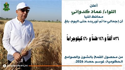 توريد أكثر من 536 ألف طن قمح في المنيا