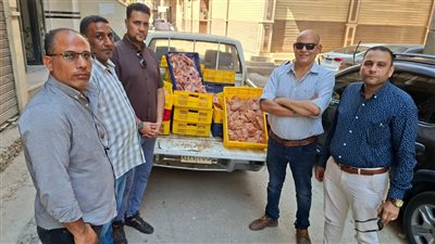 ضبط لحوم فاسدة بمجزر دواجن دون ترخيص بالفيوم 