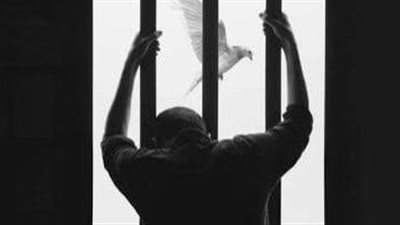 قانون العقوبات يواجه نشر الصور والفيديوهات الخادشة للحياء بعقوبات مشددة.. الحبس والغرامة للمخالفين
