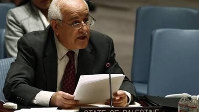مندوب فلسطين بالأمم المتحدة: أراضينا ليست قابلة للضم وحقوق شعبنا يجب الاعتراف بها