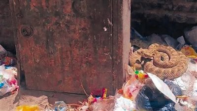 بسبب التغيرات المناخية: مصر حديقة مفتوحة للحيوانات البرية
