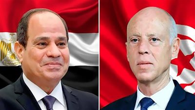 مصر تتضامن مع تونس وتدين الاعتداءات على الكويت والأردن 