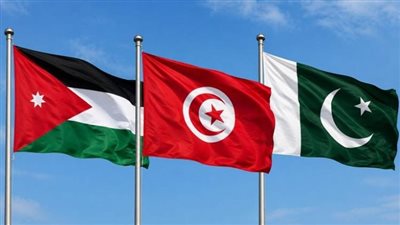 وزير خارجية الأردن يبحث مع نظيريه التونسي والباكستاني تطورات الأوضاع الإقليمية