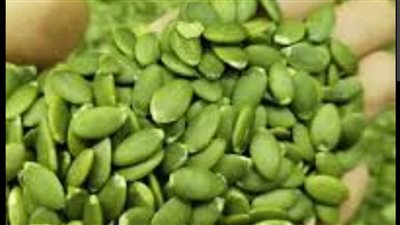 فوائد تناول بذور اليقطين.. كنز غذائي يدعم القلب والمناعة 