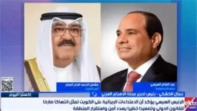  الكشكي: مصر تتحرك لأجل خفض التصعيد والحفاظ على الأمن القومي الخليجي