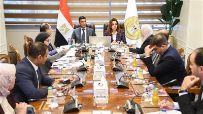 وزيرا البيئة والصناعة يبحثان آليات دعم مشروعات هيئة تنمية الصعيد بالمحافظات  