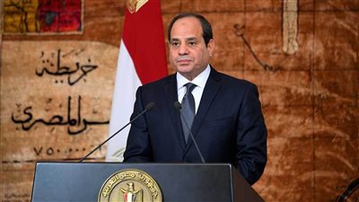 السيسي يؤكد تضامن مصر الكامل مع الجزائر في مواجهة الحرائق التي طالت مساحات من أراضيها