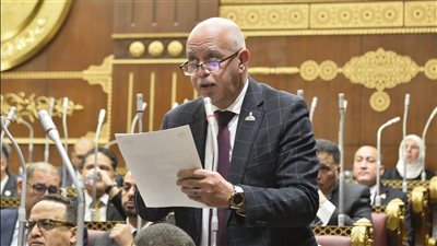 حازم الجندي: استهداف سفينتي غاز بدمياط محاولة فاشلة لجر مصر إلى دائرة الصراع