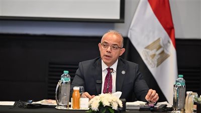123 مليون دولار حجم التبادل التجاري بين مصر ومدغشقر خلال 2025