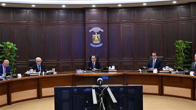 الحكومة تستعرض جهود احتواء حريق السفينتين وعودة الخدمات لطبيعتها بميناء دمياط