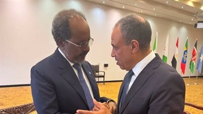 وزير الخارجية يلتقي الرئيس الصومالي على هامش قمة الدول المساهمة بقوات بعثة الاتحاد الإفريقي