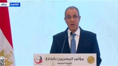 بدر عبدالعاطي للمصريين بالخارج: الرئيس السيسي يوليكم اهتمامًا خاصًا