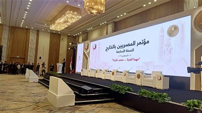 وزير الخارجية للمصريين بالخارج: دوركم كان حاسمًا في دعم الاقتصاد الوطني