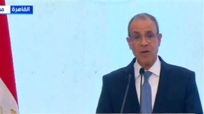 وزير الخارجية: الدولة تضع مصالح المصريين بالخارج على رأس أولوياتها