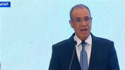 وزير الخارجية: مبادرات جديدة للمصريين بالخارج في الإسكان والزراعة والبنوك والتعليم