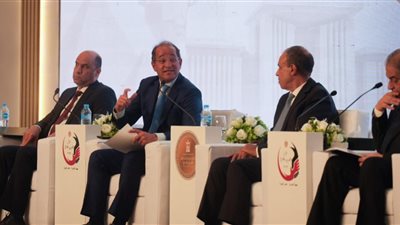 وزير المالية: إطلاق صندوق خاص يطرح أدوات استثمار للمصريين بالخارج خلال العام المقبل