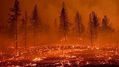 بسبب حرائق الغابات.. السلطات اليونانية تصدر أوامر إخلاء لـ5 مناطق سكنية قرب أثينا