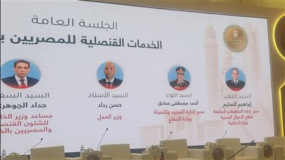 جلسة موسعة بمؤتمر المصريين بالخارج تناقش تطوير الخدمات وتيسير الإجراءات للمواطنين حول العالم