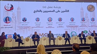 جلسة متخصصة تبحث تعزيز الحماية الاجتماعية والتأمينية للجاليات المصرية