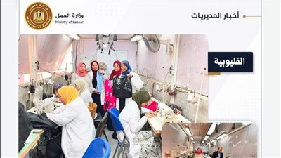 وزارة العمل تنظم حملات تفتيشية على المحافظات.. التفاصيل