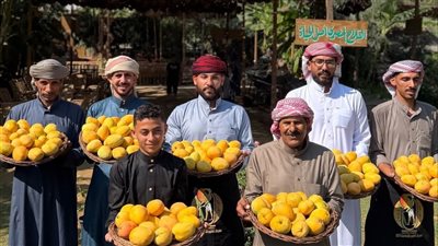 الخميس .. مؤتمر صحفي للإعلان عن فاعليات مهرجان المانجو الدولي بالإسماعيلية 