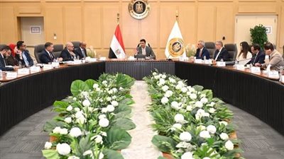 وزير الصناعة يبحث خطوات زيادة المكون المحلي بصناعة السيارات وتصنيع هيكل السيارات 