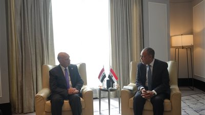 وزير الخارجية يلتقي نظيره العراقي على هامش الاجتماع الوزاري حول القدس في عمّان