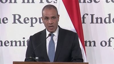وزير الخارجية: مصر لديها ثوابت بشأن صون أمن وحرية الملاحة في الممرات المائية الدولية