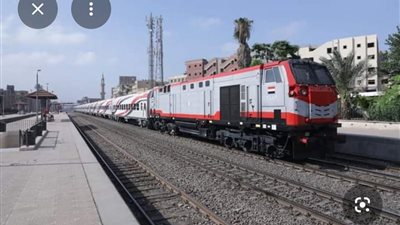ضبط عاطل بحوزته 75 طربة حشيش بمحطة قطار قنا
