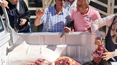 تحرير 329 مخالفة في حملات رقابية بالمنيا