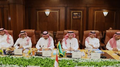 وفد سعودي يتفقد ميناء الإسكندرية لبحث شراكة لوجستية جديدة مع مصر