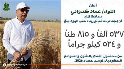 شون وصوامع المنيا تستقبل توريد 537 ألف طن قمح