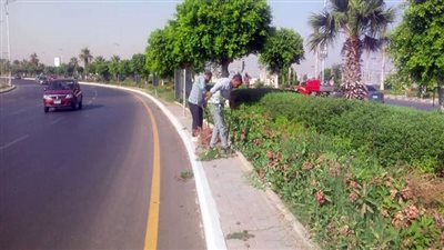 جهاز تنمية بدر يواصل تنفيذ خطة متكاملة لتطوير ورفع كفاءة شبكة الطرق