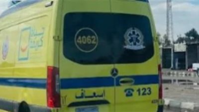 خلاف على الميراث ينتهي بجريمة.. مصرع شخص طعنًا على يد نجل شقيقه بالبحيرة