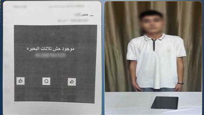 ضبط طالب روّج للمخدرات عبر مواقع التواصل بالبحيرة 