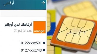 كيف تعرف الخطوط المسجلة باسمك بأسهل طريقة؟ خطوات الاستعلام عبر My NTRA