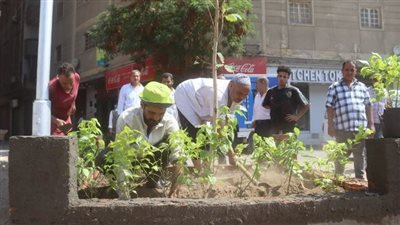 صيانة وتجميل ميدان الوليد بالدقي.. قص وتهذيب الأشجار لتحسين المظهر الحضاري